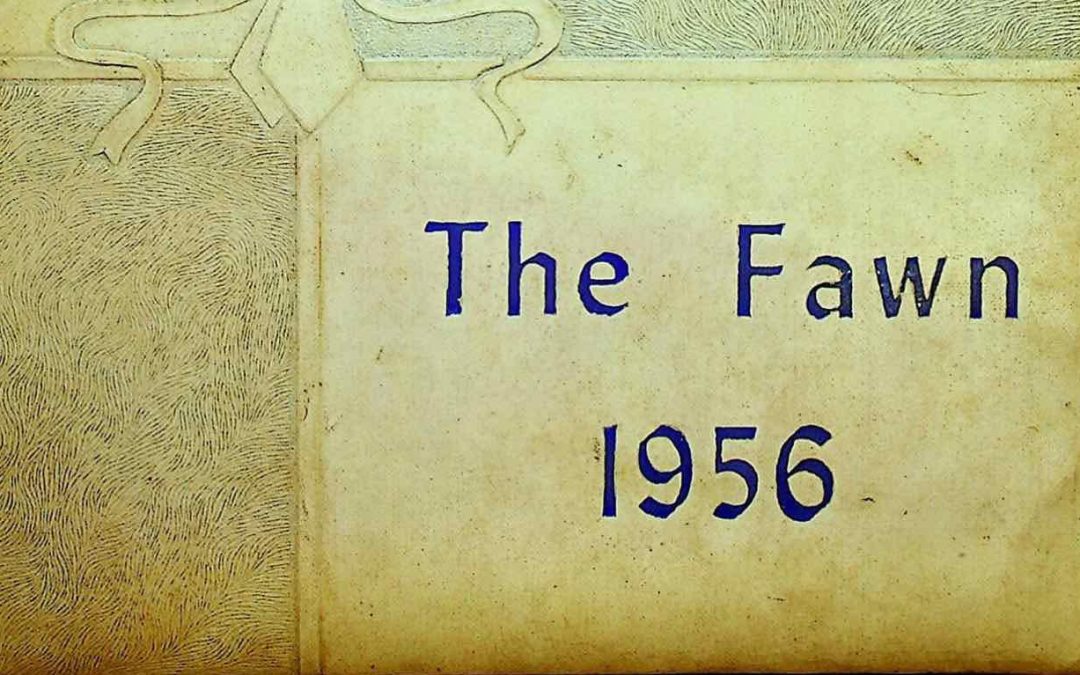 The Fawn – 1956